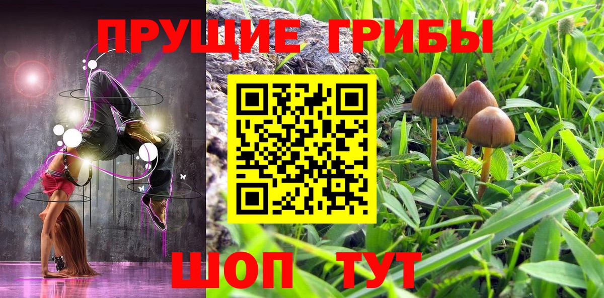 Галлюциногенные грибы ЛСД  Вход с VPN  Арсеньев 